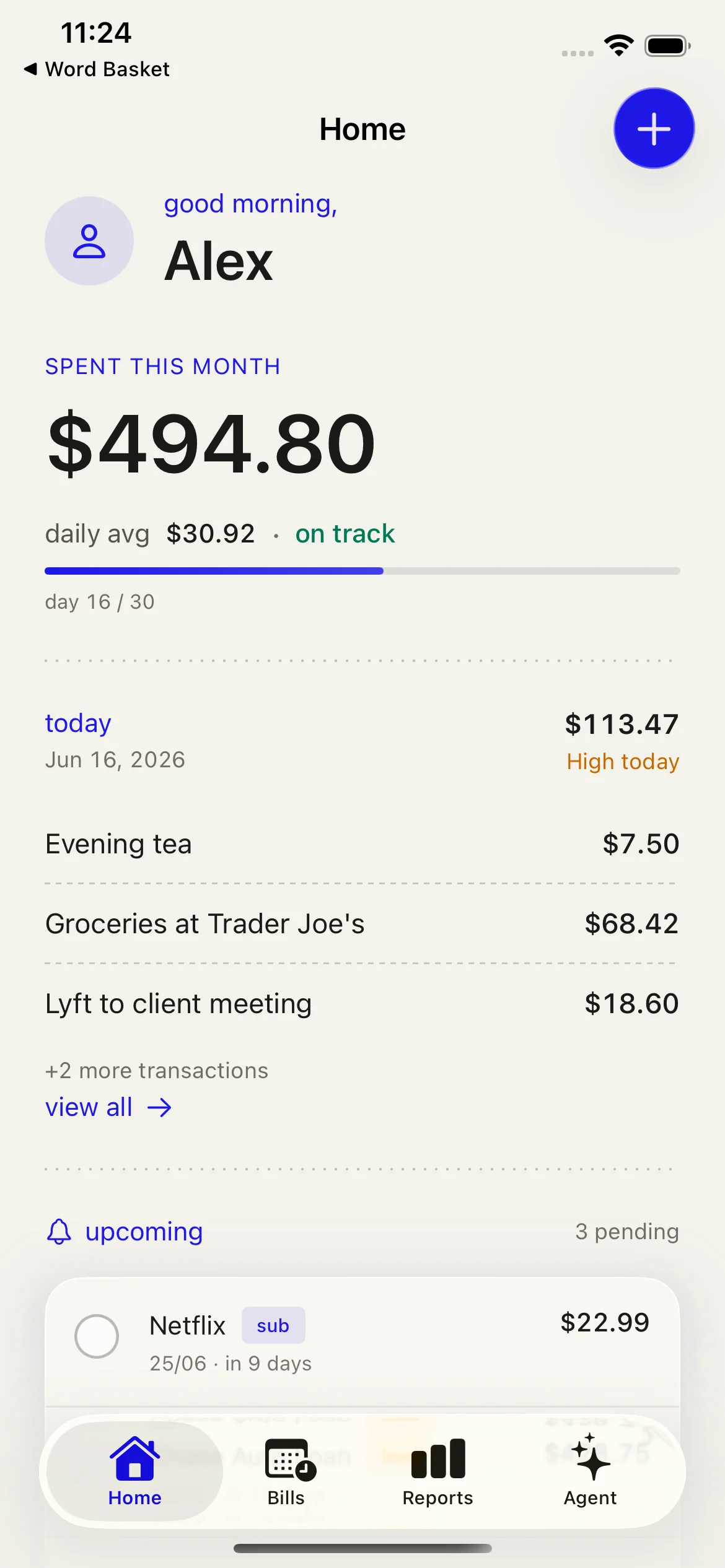 Lumi app screenshot showing fast expense tracking on iPhone.